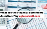 What are the Financial Statements Assertions