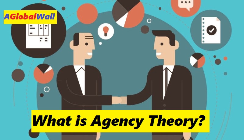 What is agency theory